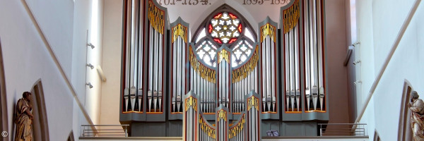 Orgel in St Martin